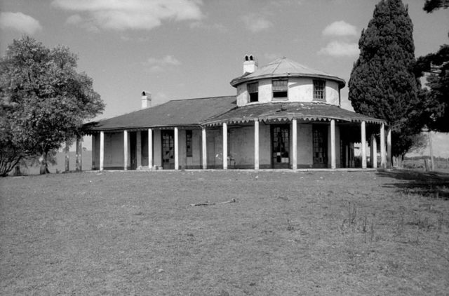 Bungarribee Homestead and the Italian Cypress/ Author: Barry Wollaston