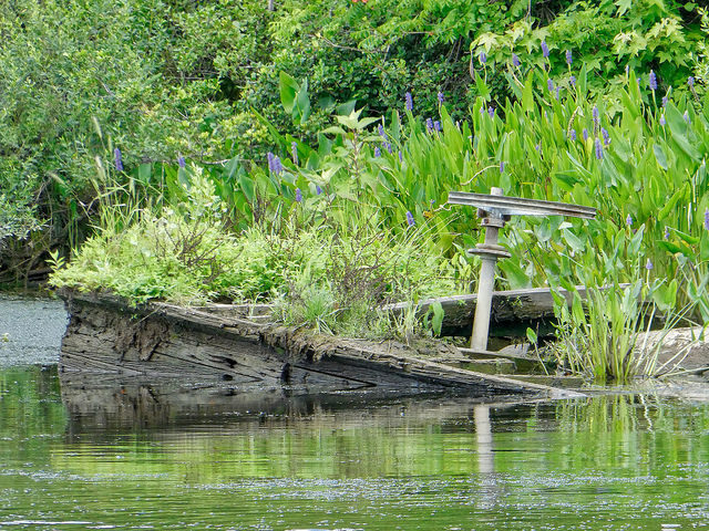 Forgotten wooden boat/ Author: F Delventhal CC BY 2.0