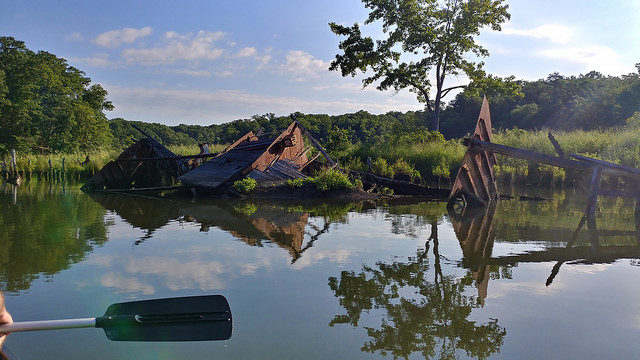 Some of the vessels at Mallows Bay/ Author: Fred Schroeder CC BY-ND 2.0