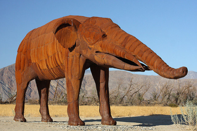 Gomphotherium – Author: Sam Howzit – CC BY 2.0