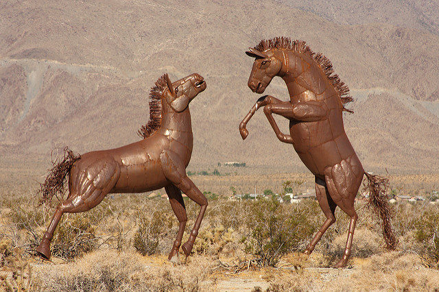Wild horses – Author: Sam Howzit – CC BY 2.0