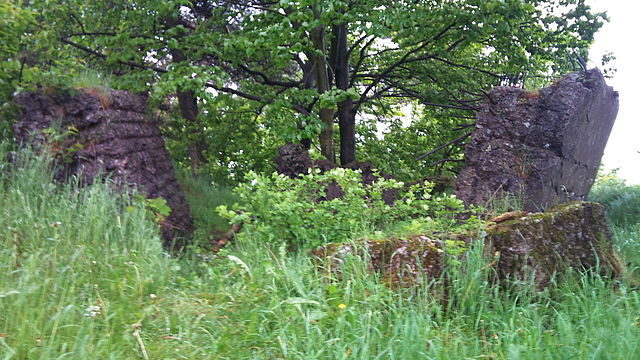 Ruined bunker, part of fortress Dobrošov. Author: User: Alofok – CC BY-SA 3.0