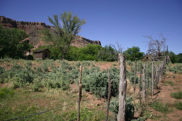 Cabins and fence. Author: Jeff Turner CC BY 2.0