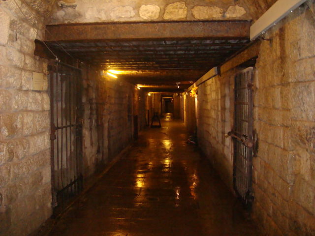 One of the tunnels/ Author: Eric T Gunther CC BY 3.0