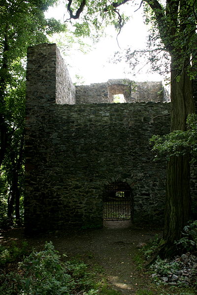 Ruins of Frankenstein Castle; alternative view. Author: Frank Vincentz CC BY-SA 3.0