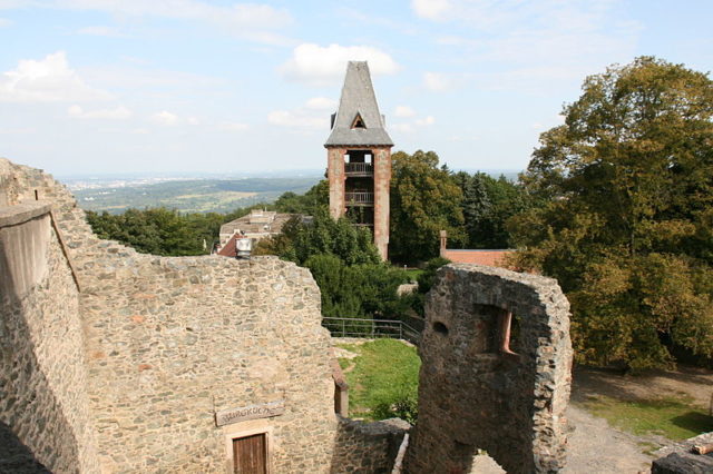 The castle heavily damaged. Author: Frank Vincentz CC BY-SA 3.0