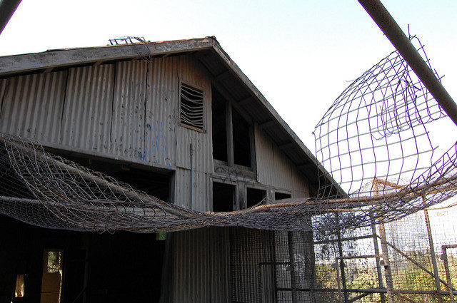 Old Zoo Site, Griffith Park, Los Ángeles, California/ Author: Omar Bárcena – CC BY 2.0