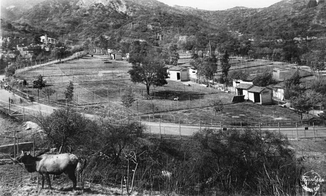 Griffith Park Zoo Postcard from the Frasher Foto Postcard Collection.