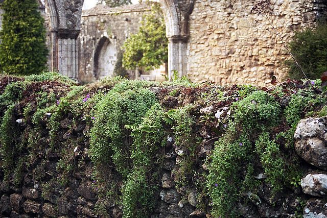 Much of the abbey didn’t survive the Dissolution of the Monasteries ordered by Henry VIII/ Author: Andrew Bourke – CC BY-SA 3.0