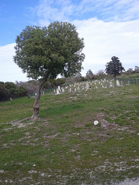 The cemetery for lepers. Author: Aart Rietveld – CC BY-SA 4.0