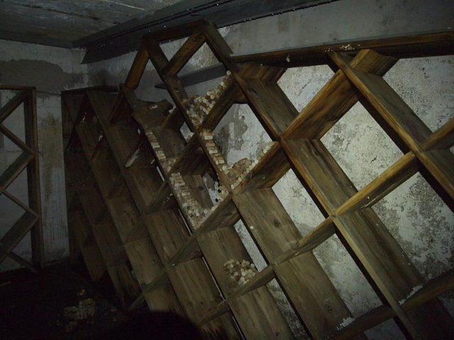 Abandoned wine cellar.