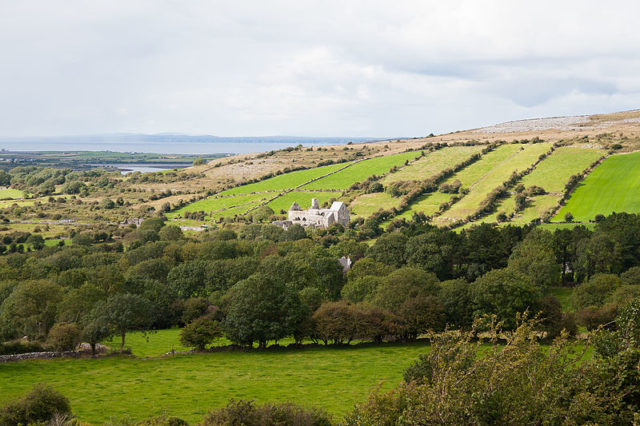 Corcomroe Abbey with Galway Bay in the distance. Author: Andreas F. Borchert – CC BY-SA 4.0