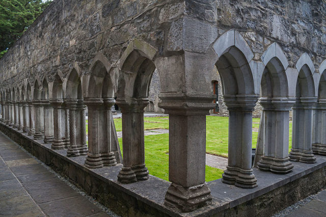 View of the cloister. Author: Andreas F. Borchert – CC BY-SA 4.0