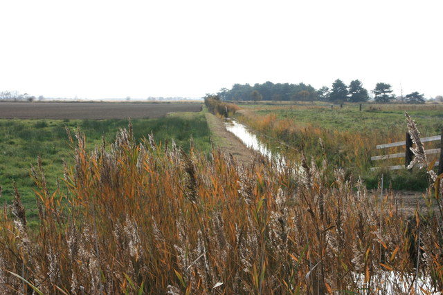 Drainage ditch near Brograve Mill/ Author: Paul Smith – CC BY-SA 2.0