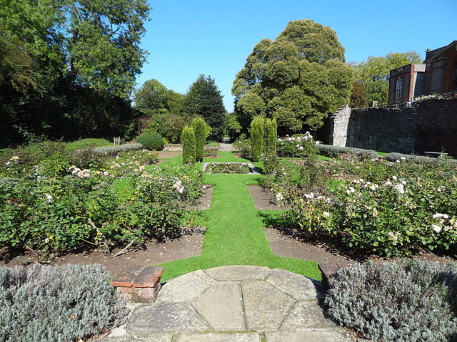 Part of the garden. Author: Dudley Miles – CC BY-SA 3.0