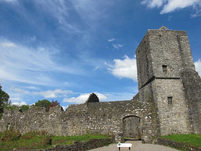 The tower and part of the curtain wall. Author: Patrick OTER – CC0