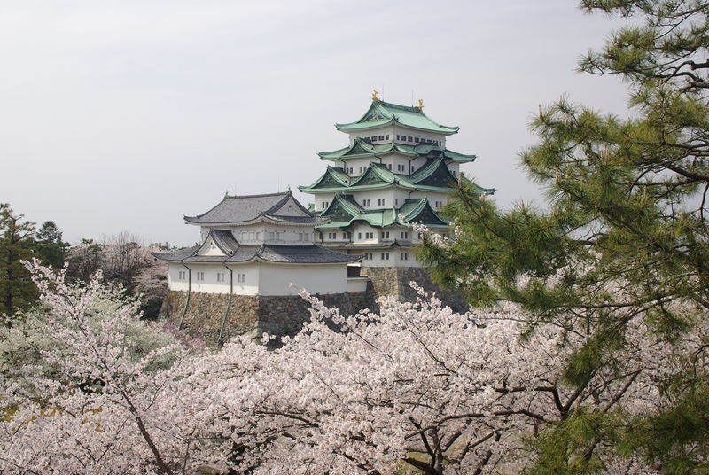 The two keeps of Nagoya Castle. Author: 名古屋太郎 – CC BY-SA 3.0