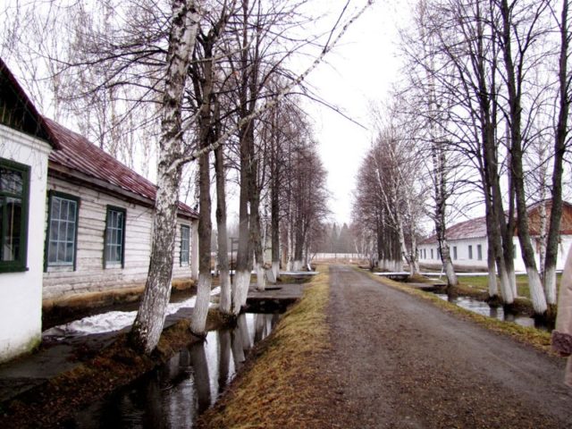 1946 barrack building. The birch alley was planted in 1954: the birches “remember” the prisoners ©Ilya Buyanovskiy