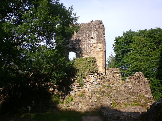It was a typical Welsh castle/ Author: Pjposullivan – CC BY-SA 4.0