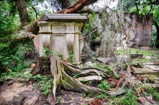 Crypt and vines. Author: John E Adams – CC BY-SA 4.0
