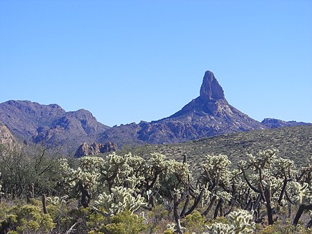 For many Weaver’s Needle is the landmark for locating the lost mine. Author: Chris C Jones – CC BY-SA 2.5