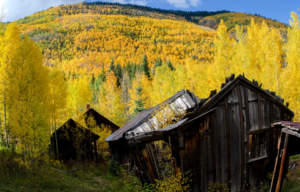 Abandoned wooden shacks surrounded by yellowing trees.