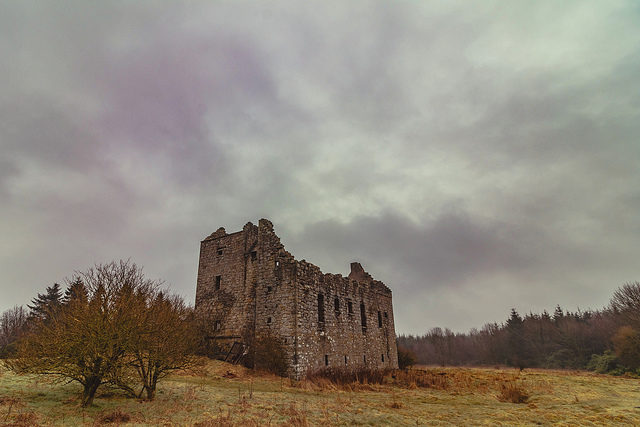 Torwood Castle, Falkirk, Scotland/ Author: Flikr user 4652 Paces – CC BY-ND 2.0