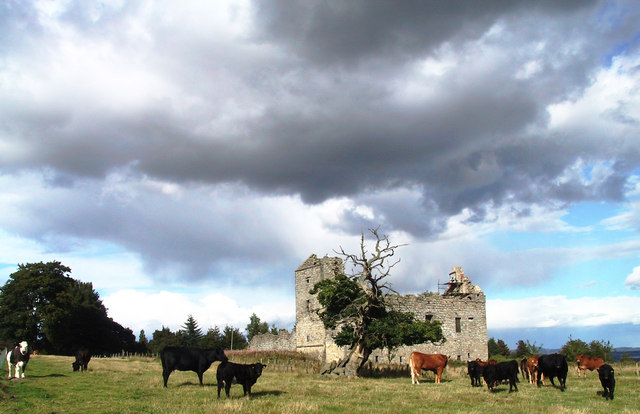 The field around the ruins is partly overgrown/ Author: Peter Gordon – CC BY-SA 2.0