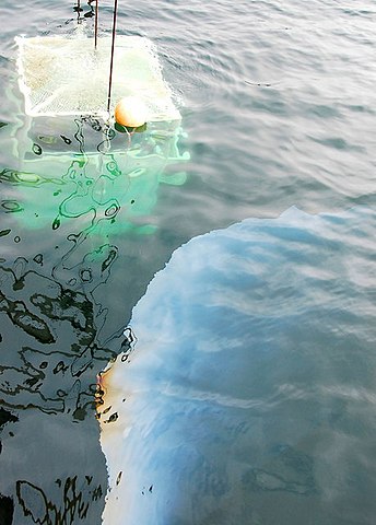 Divers prepare to leave the lift. There is a film of iridescent fuel oil over the wreck. Author: Ian Balcombe CC BY-SA 2.0