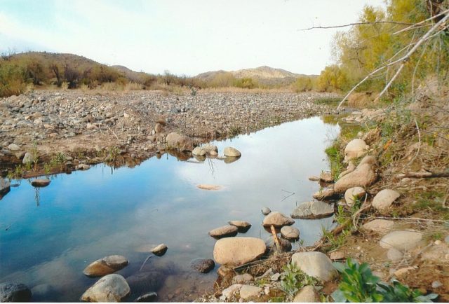 The Agua Fria River at the border of Gillett historic townsite. Author: Marine 69-71 CC BY-SA 4.0