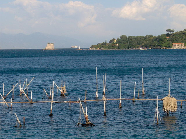 The Scola Tower and the Palmaria island from distance/ Author: William Domenichini – CC BY-SA 3.0