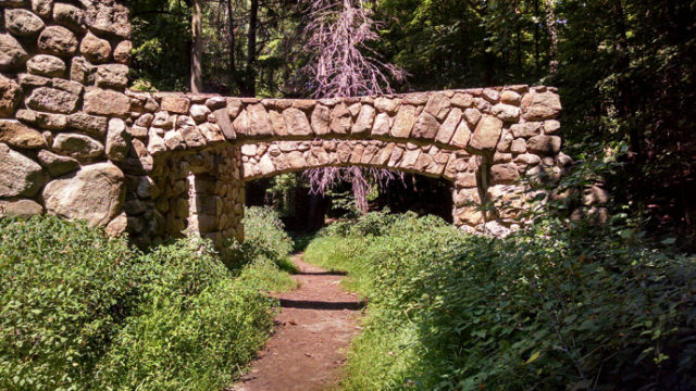 The driveway. Author: Gin Minsky | minskysabandoned.com