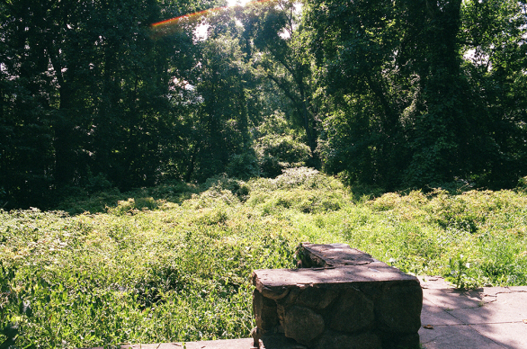 The view from the front porch. Author: Gin Minsky | minskysabandoned.com