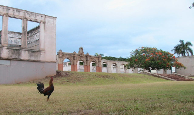 Moises de la vera 