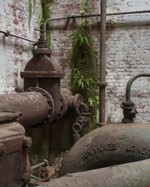 Pipes and ferns. Author: Matt Emmett | Facebook @ForgottenHeritagePhotography