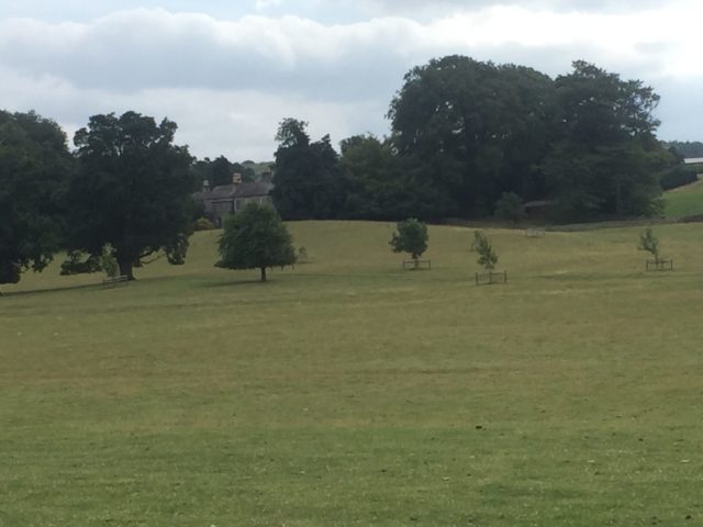 Jervaulx Hall in the distance. Author: Charlotte Bond