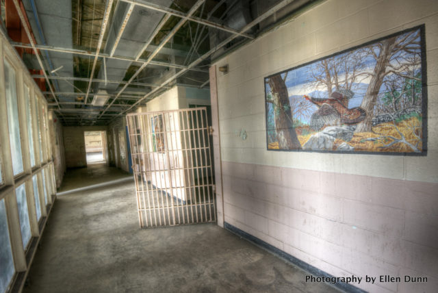 Hallway. Author: Ellen Dunn Photography – Flickr @ellendunn