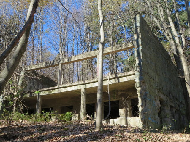 Exterior of a building in the middle of a forest