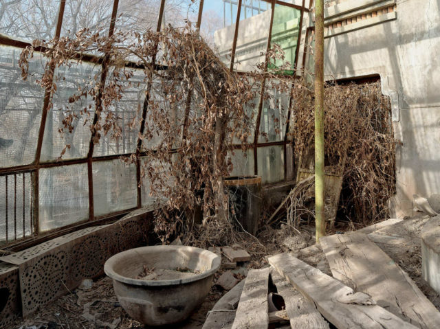 One of the greenhouses used to grow plants that could otherwise not be cultivated in the desert. Author: Li Yang – liyangphoto.com