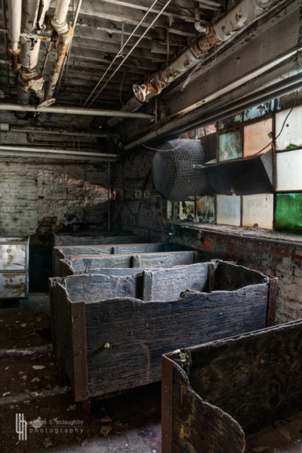 Author: William McLaughlin – Flickr @billmclaugh