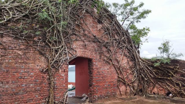 Author: Ankur P from Pune, India – Ross Island – Walls covered with creepers, CC BY-SA 2.0