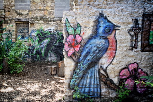Author: Kelly Ludwig – kellyludwig.com