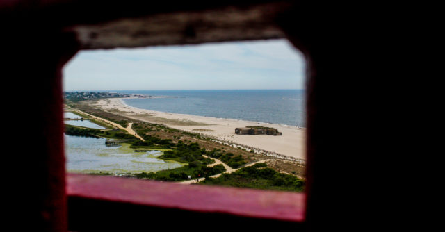 Cape May Point State Park. By Mak_photo
