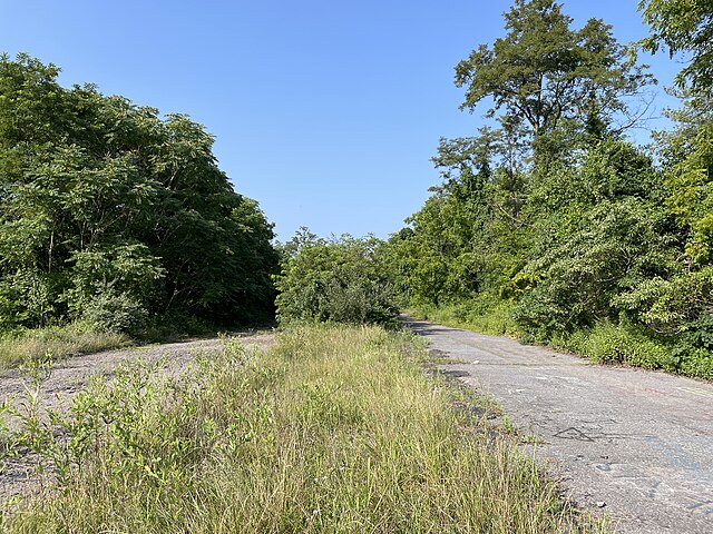 Grass growing along a stretch of the Abandoned Pennsylvania Turnpike