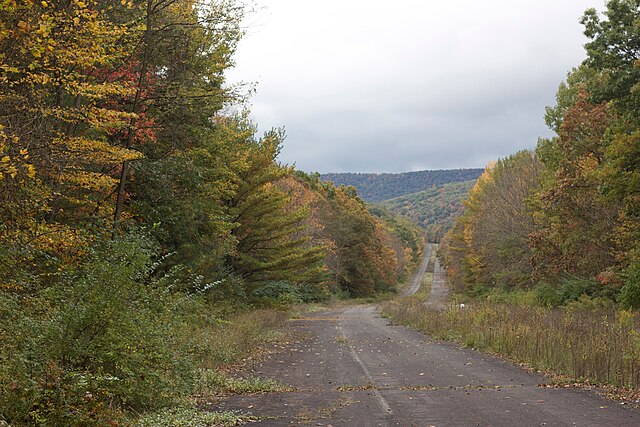 Trees and grass growing along the Abandoned Pennsylvania Turnpike