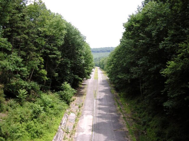 Trees growing along the Abandoned Pennsylvania Turnpike