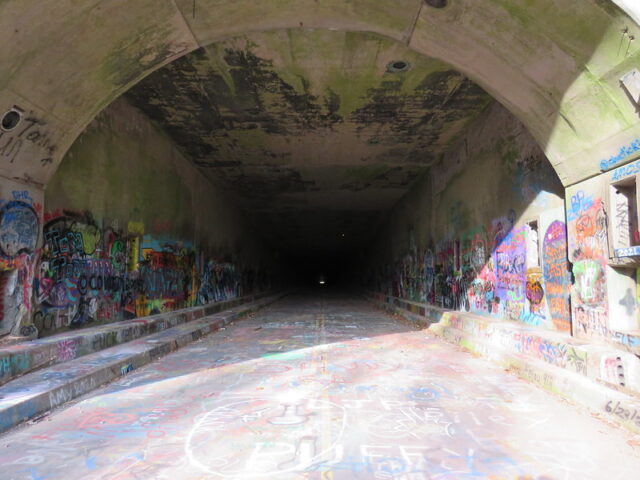 Graffiti covering the interior of the Rays Hill Tunnel