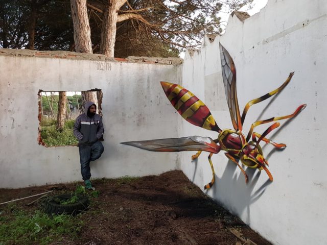 Big wasp. By Sérgio Odeith