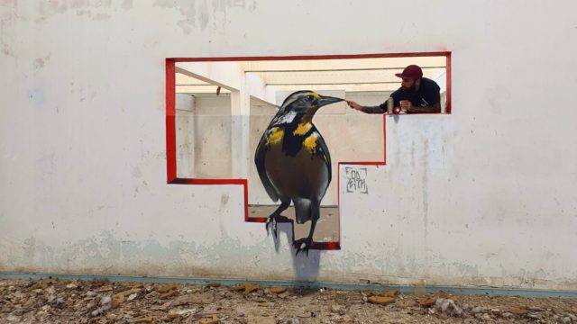 Graffiti Bird. By Sérgio Odeith