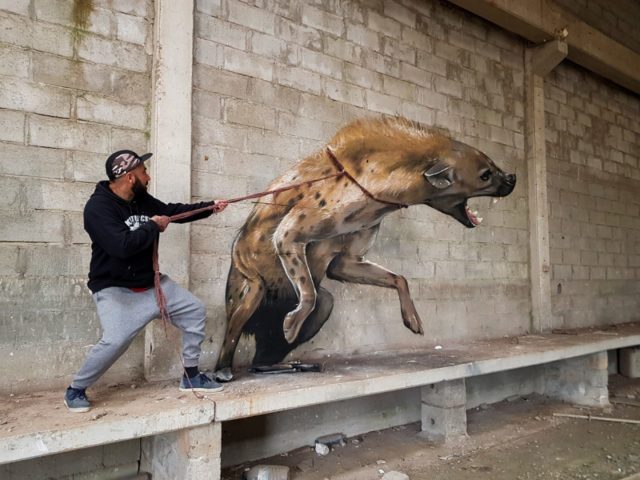 Hyena. By Sérgio Odeith